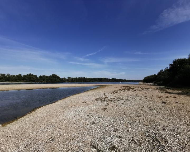 Zur Rheinfahre